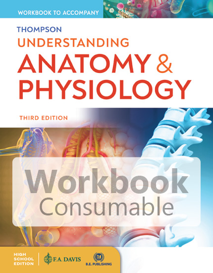 Understanding Anatomy & Physiology (High School Edition) Workbook